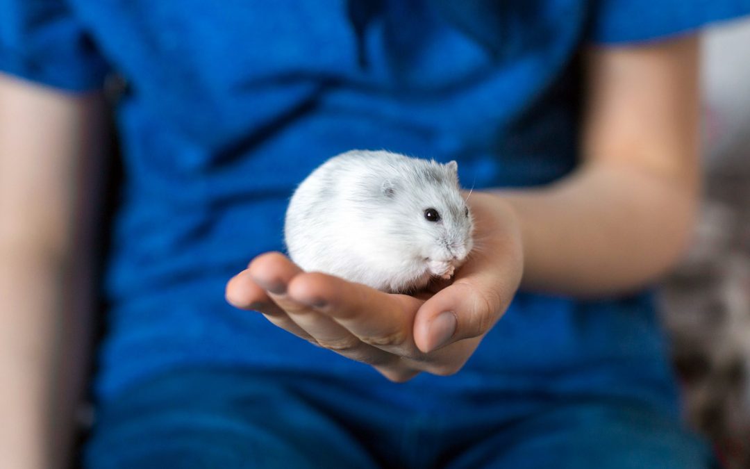 Small Pets, Big Responsibilities: Ensuring Health and Happiness